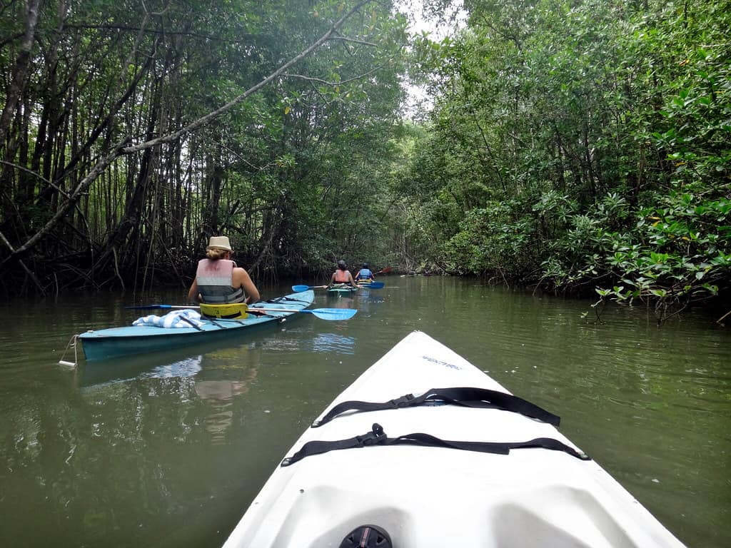 Osa Peninsula - Aug 2014