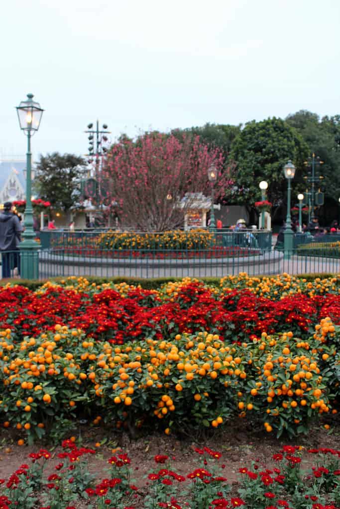 Hong Kong Disneyland