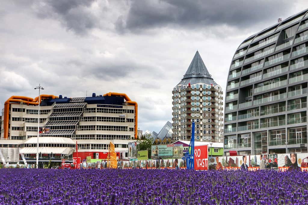 Rotterdam - June 2014