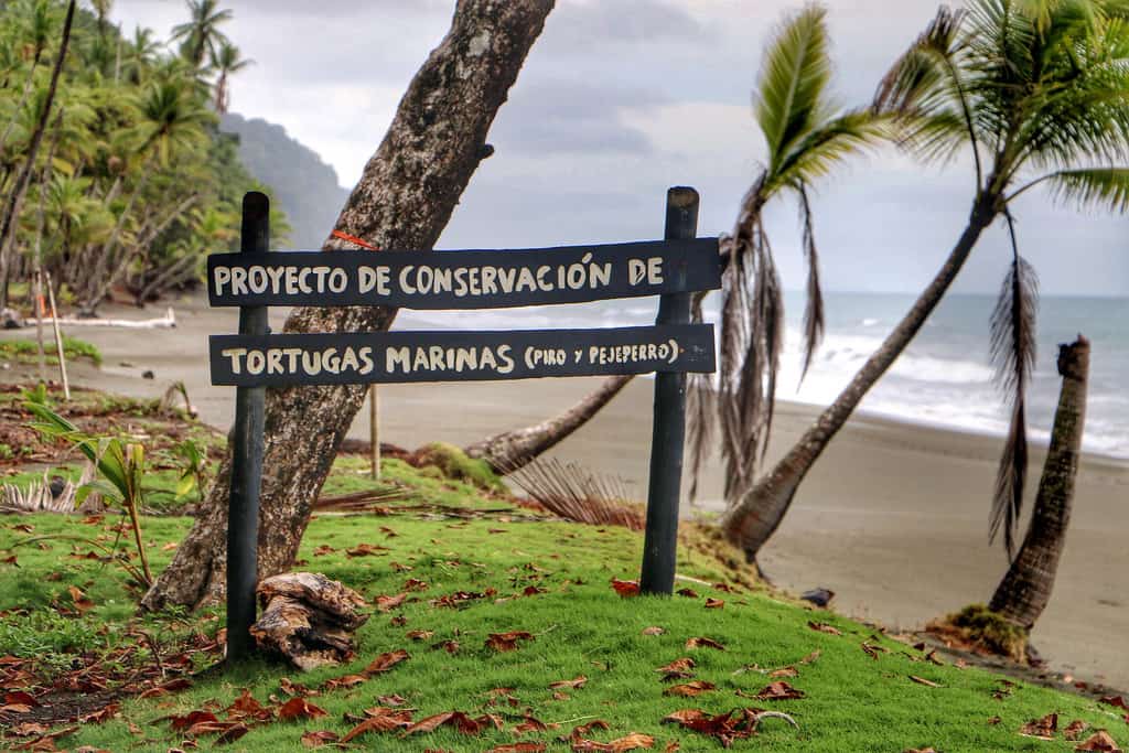 Osa Peninsula - Aug 2014