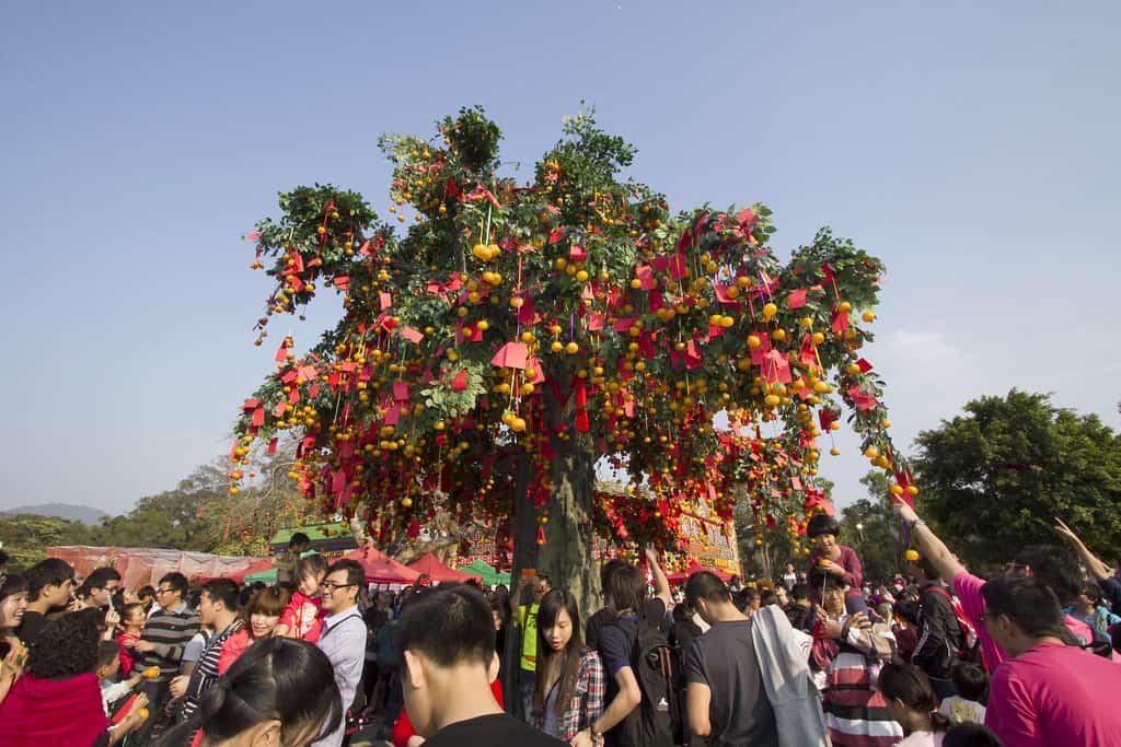 Hong Kong - Chinese New Year