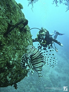 Diving_Aqaba