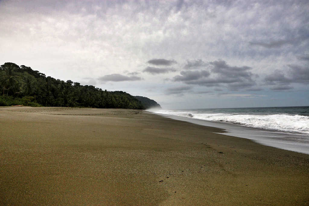 Osa Peninsula - Aug 2014