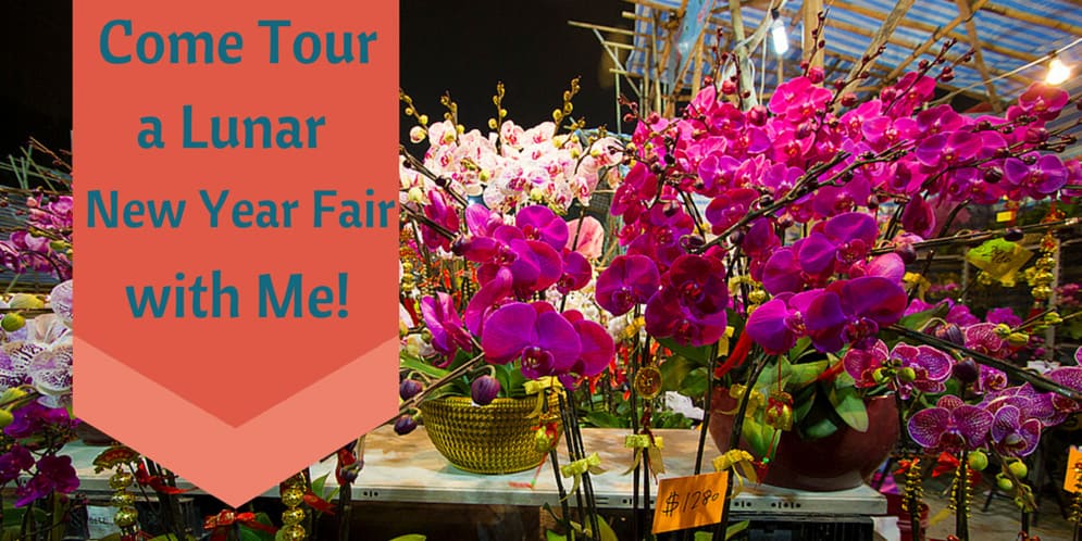 Come Tour a Lunar New Year Fair with Me!