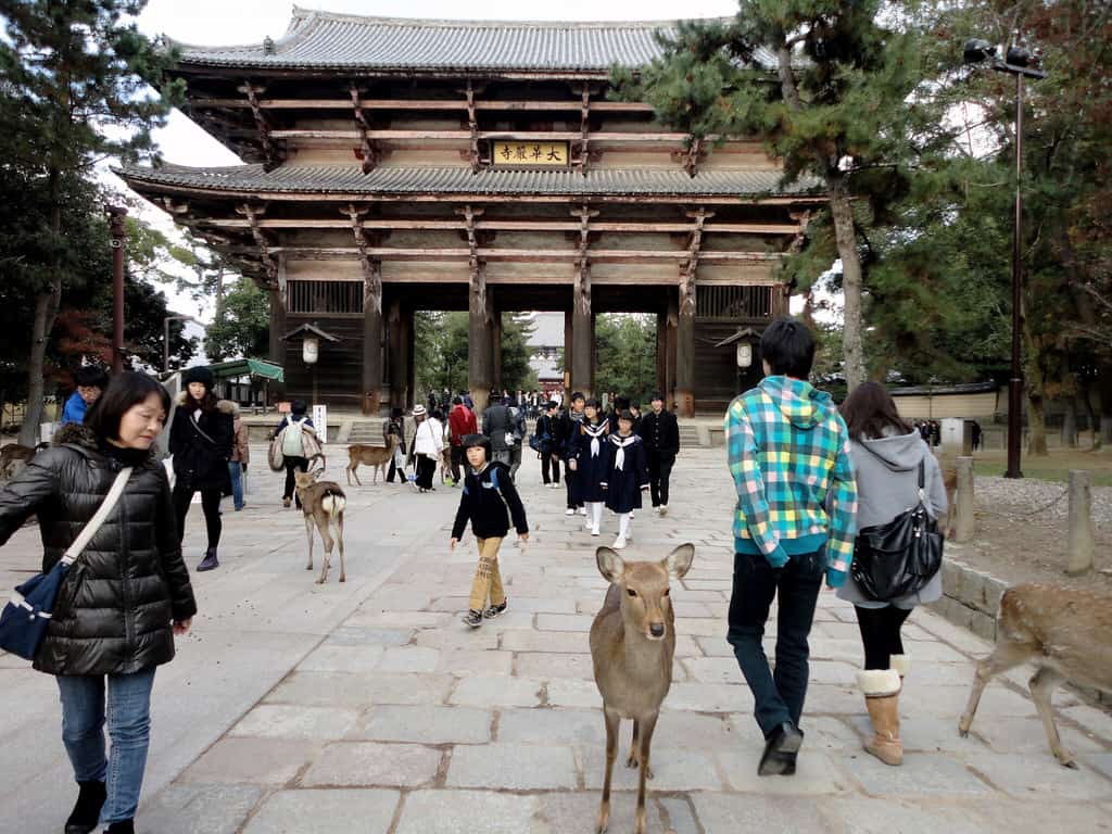 Nara - 2011