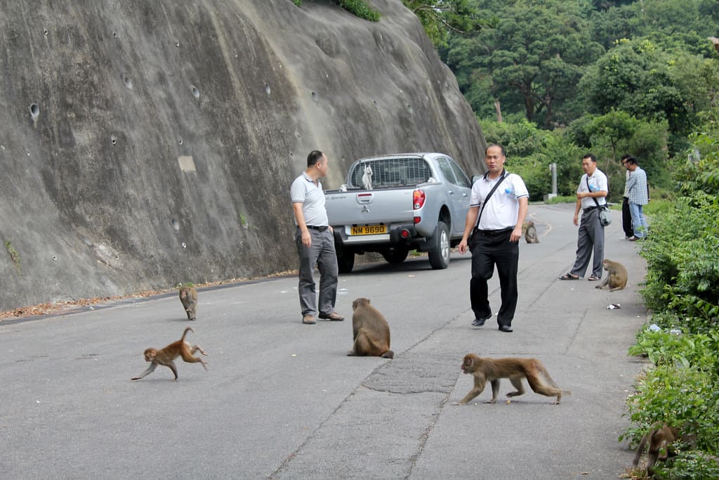 Hong Kong