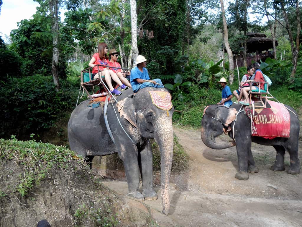 Chiang Mai - Apr 2014