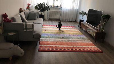 New European Retro Rug Carpet