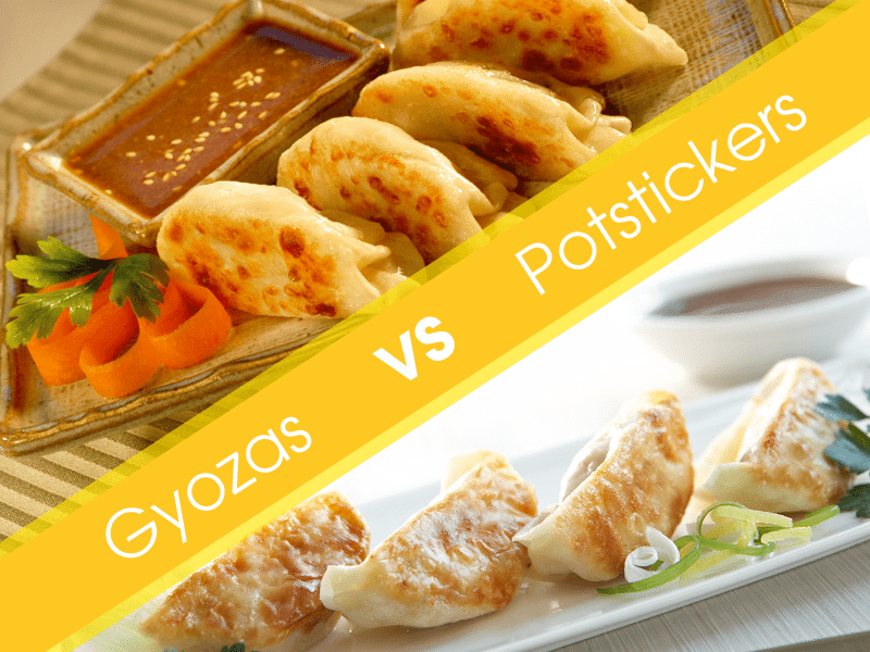 What Is the Difference Between Gyoza Vs Potsticker?