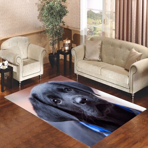 black lab Living room carpet rugs