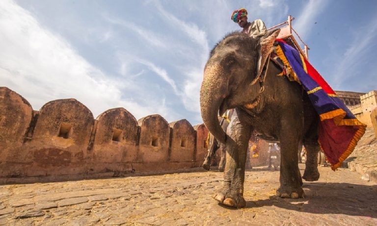 unforgettable travel experience in rajasthan