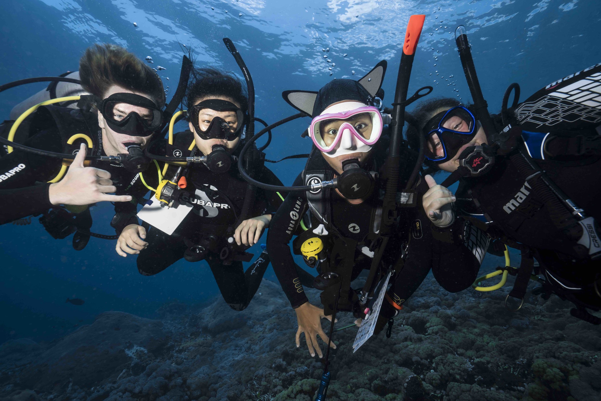 Freedive Nusa Penida